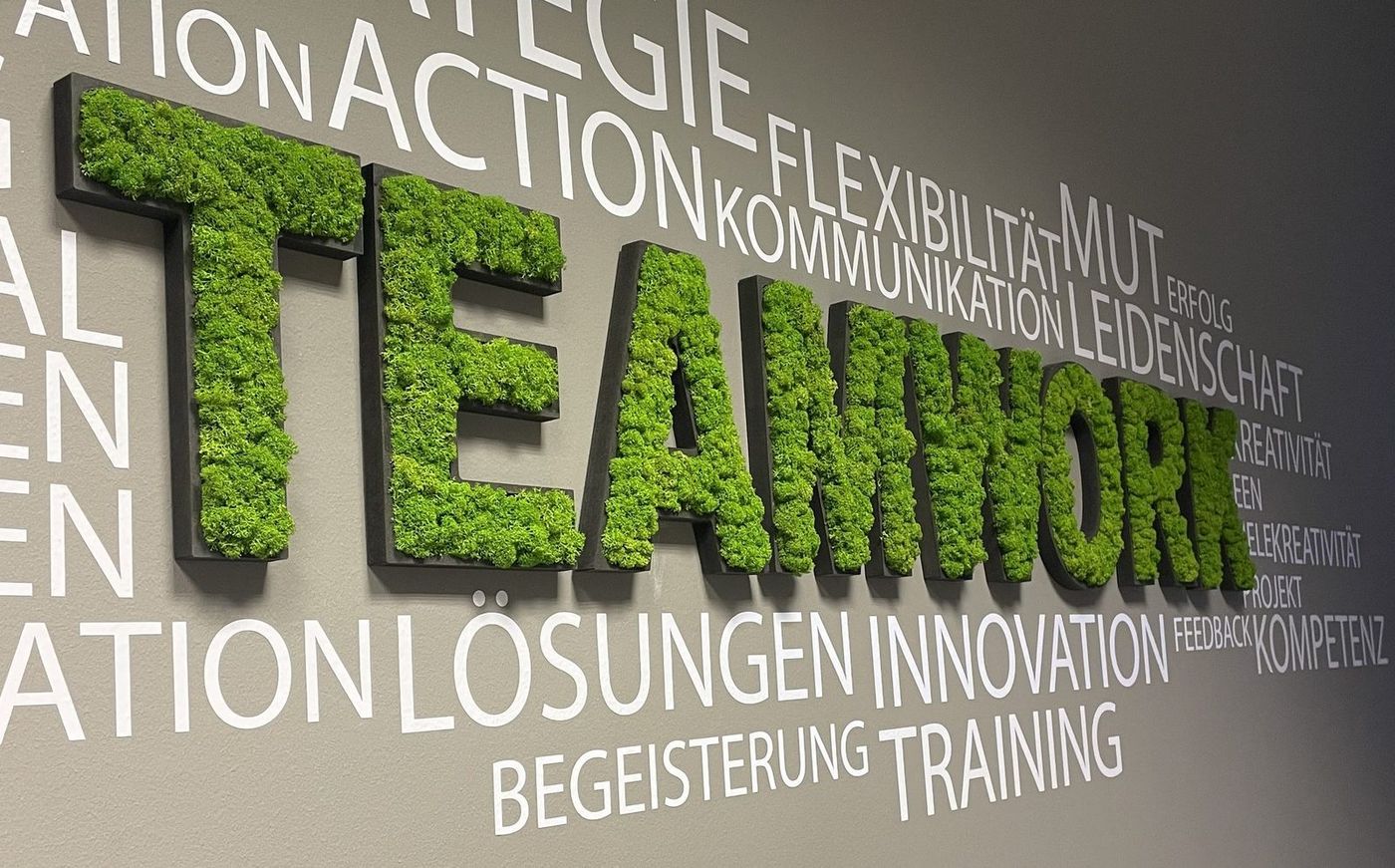 Teamarbeit